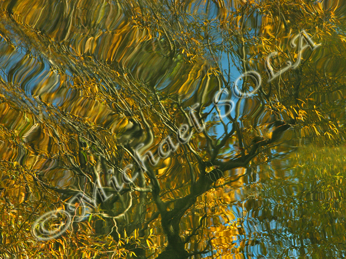 © Smike Photography by Michael Sola - All Rights Reserved